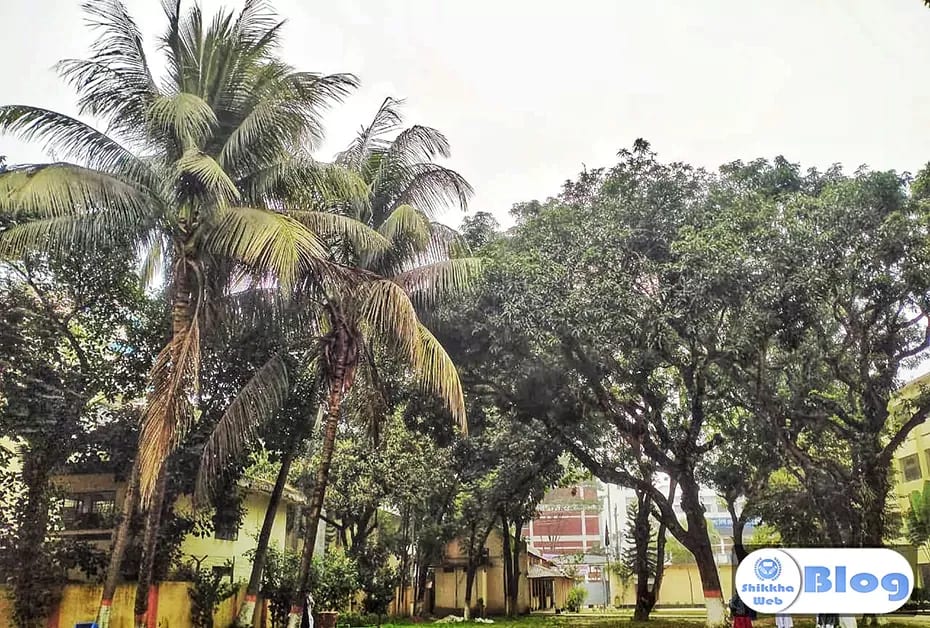 ব্রাহ্মণবাড়িয়া মহিলা কলেজের সবুজ ক্যাম্পাস